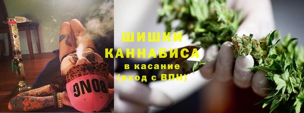 крисы Армянск