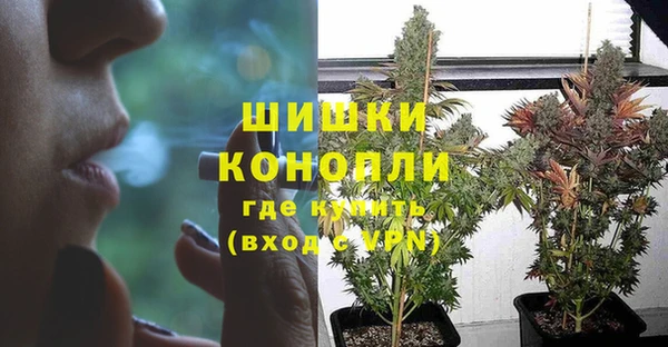 apvp Аркадак